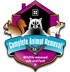 logo-animal-removal